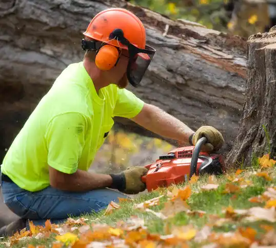 tree services Oak Grove